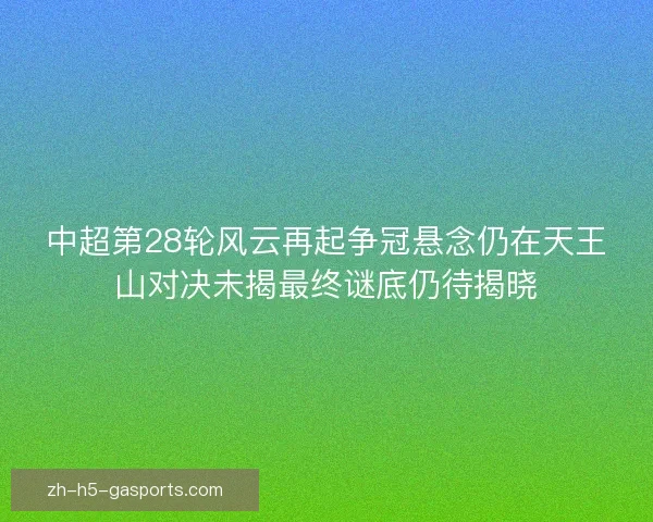 中超第28轮风云再起争冠悬念仍在天王山对决未揭最终谜底仍待揭晓